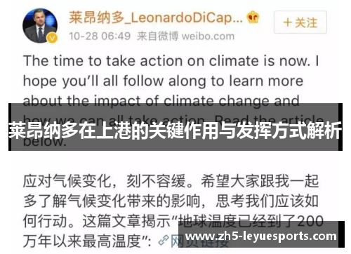 莱昂纳多在上港的关键作用与发挥方式解析