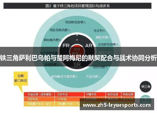 铁三角萨利巴乌帕与楚阿梅尼的默契配合与战术协同分析