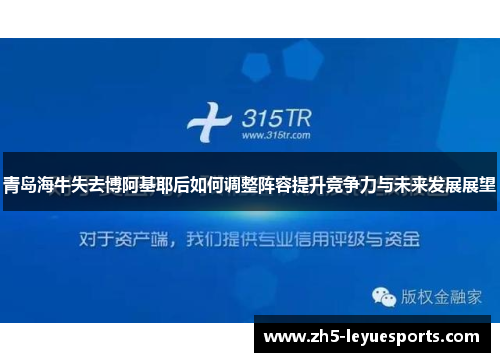 青岛海牛失去博阿基耶后如何调整阵容提升竞争力与未来发展展望