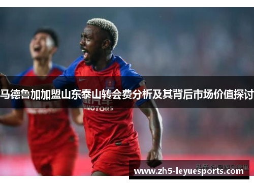 马德鲁加加盟山东泰山转会费分析及其背后市场价值探讨