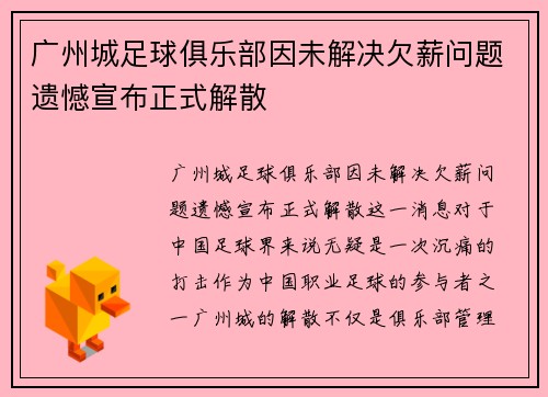 广州城足球俱乐部因未解决欠薪问题遗憾宣布正式解散